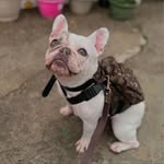 Albert Lozada - @lozad_a - Instagram