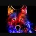 Lucca Albert - Facebook