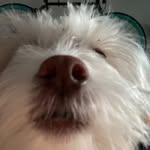 Albert Lucio - @albertlucio2 - Instagram