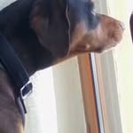 Luigi Alberti - @alberti.luigi - Instagram
