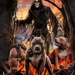 Albert Lujan - Facebook