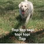 Albert Lukáš - @albertlukas4 - Instagram