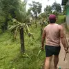 albertmarcelino29 - @hellboy253 - TikTok