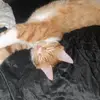 Albert Marchidan - @albert.marchidan - TikTok