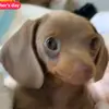 Marcus Albert - @marcus.albert5 - TikTok