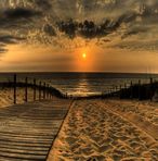Albert Marek - Facebook