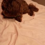 Albert_marks - @albertmarks25 - Instagram