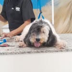 Rogério Alberto Marquardt2830 - @rogerioalbertomarquardt2830 - Instagram
