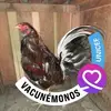 Albertito Marrufo - @albertito.marrufo - TikTok