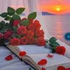 Albert Marry - @albert.marry2 - TikTok