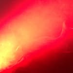 Albert Mars - @albert.mars - Instagram