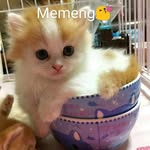 Albert Martel - @albertmartel4710 - Instagram