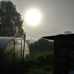 Альберт Мартенс - @albert.martens - Instagram