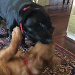 Arnold & Albert Martindale - @arnoldalbertadventures101 - Instagram