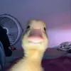 Albert Martz - @albertmartz8 - TikTok