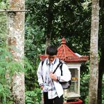 Albert Marvellino - @albertmarvellino - Instagram