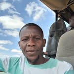 Albert Masialeti - @albert_masialeti - Instagram