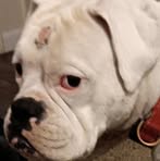 Albert Mason - Facebook