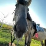 Albert Mastalerczuk - @albertmastalerczuk - Instagram
