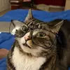 albert_matei - @albert_matei - TikTok