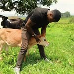 Albert Matene - @albertmatene - Instagram