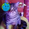 Albert Mathieu - @albert.mathieu6 - TikTok