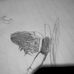 Albert Matre - Facebook