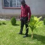 Albert mattaz - @albertmattaz - Instagram