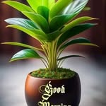 albert matteo - @albertmatteo51 - Instagram