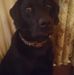 Albert Mattern - Facebook