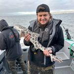 Albert Mattern - @albert7991 - Instagram