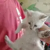 Albert Matus - @albert.matus6 - TikTok