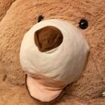 Albert & Maurice - @albert_and_maurice - Instagram