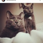 Albert et Maurice - @albert_et_maurice - Instagram