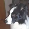 Albert Mause - @albert.mause - TikTok