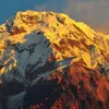 albertmaus - @albertmaus - TikTok