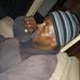Albert Maxey - Facebook