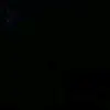 Maynor Alberto - @maynor_alberto_ - TikTok