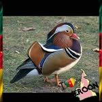 Albert Mayoli Dicka - @albertmayolidicka68 - Instagram