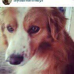 @albert_mays - Instagram
