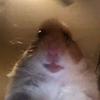 albertlamazure - @albertlamazure - TikTok