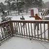 Albert Angel McAllister - @albert.angel.mcal - TikTok