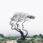 Albert Mccarthy - @albertmccarthy72 - Instagram