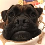 Albert - @albert.mc.gregor - Instagram