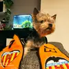 user7807586749220 - @albertmcgregor - TikTok