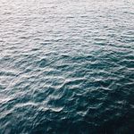 melody - @melody.albert - Instagram
