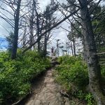 Albert Meyer - @aameyer3 - Instagram