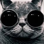 albert minkin - @albertminkin84 - Instagram