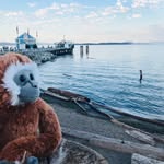 Albert Minky - @albertminkeys_journey - Instagram