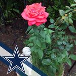 Albert Mireles - @albert.mireles - Instagram